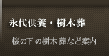 �i�㋟�{�ɂ���