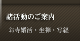 �������@���T